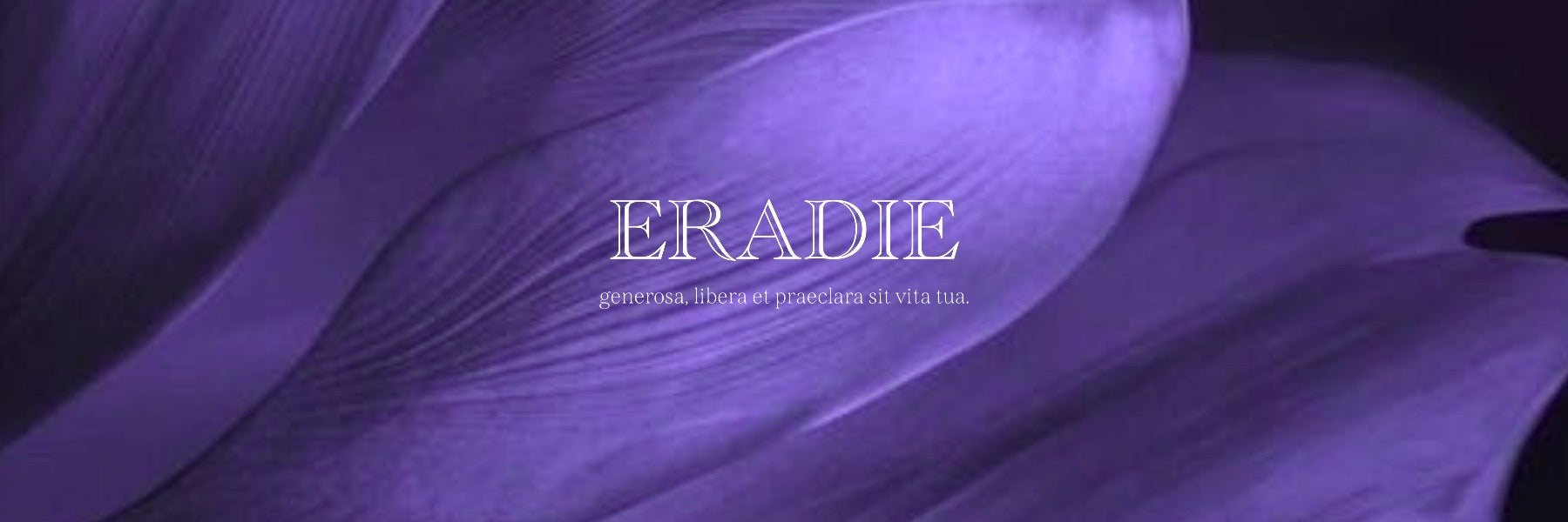 ERADIE(エラディエ)